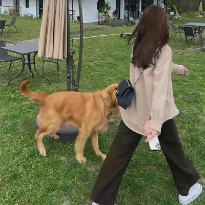 滚动